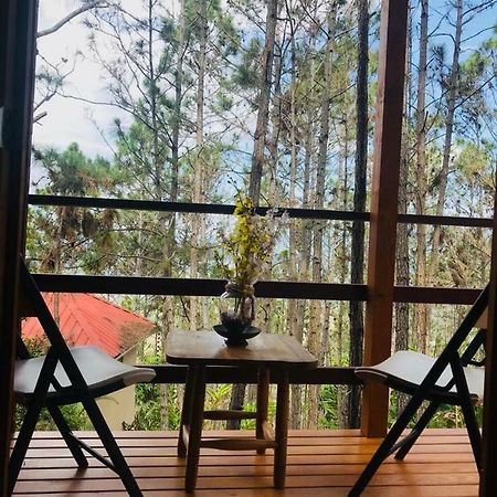 Casa De Arbol, Rancho Tierra Alta Hotel Jarabacoa Ngoại thất bức ảnh