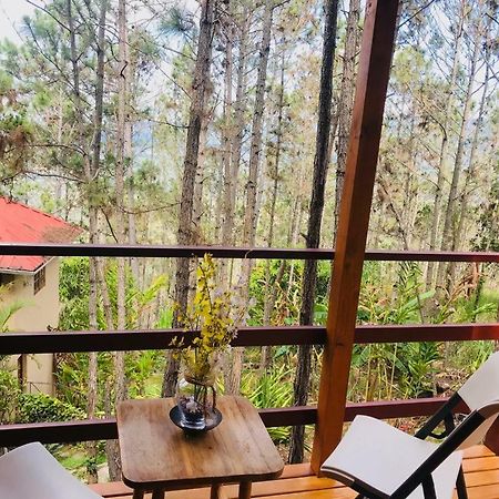 Casa De Arbol, Rancho Tierra Alta Hotel Jarabacoa Ngoại thất bức ảnh