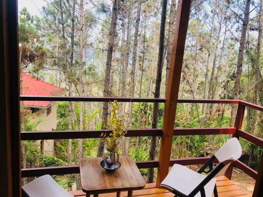 Casa De Arbol, Rancho Tierra Alta Hotel Jarabacoa Ngoại thất bức ảnh